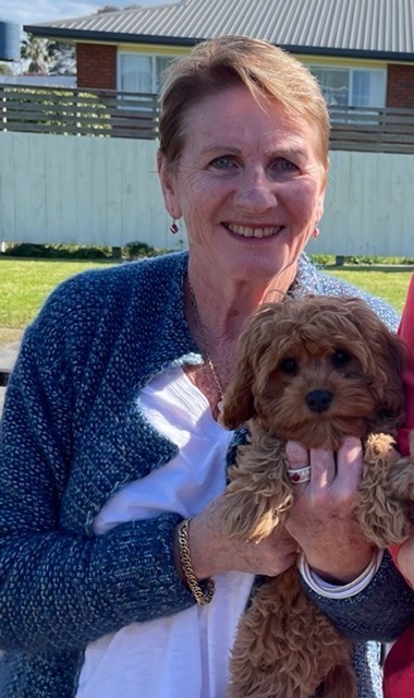 Cavoodle puppies for sale trading best sale post